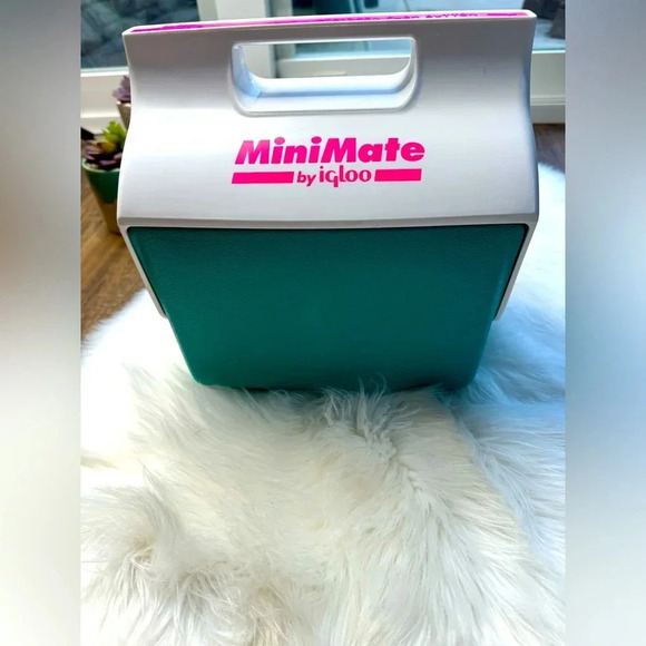 Igloo Other - Vintage 1990s Mini Mate By Igloo Personal Cooler Teal Hot Pink Ice Chest Small